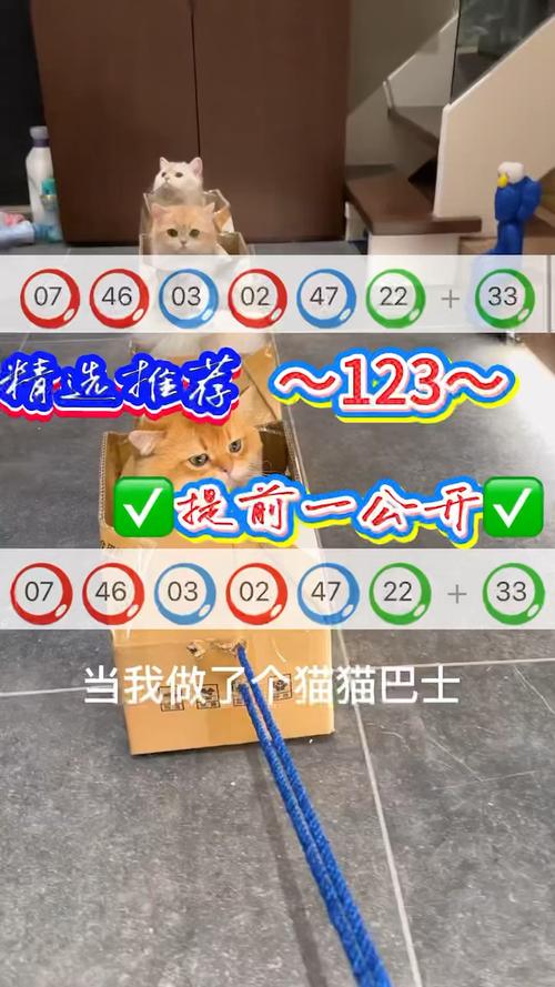 新奥最精免费大全管家婆和尾号7个0拍出61.2万与尾号7个0值多少钱